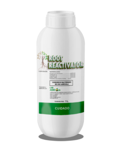 LAB-AGRICOLA-BIO-INSECTICIDA-BIO-FUNGICIDAS-BIO-FERTILIZANTES-INSUMOS-AGRICOLAS-19-246x300