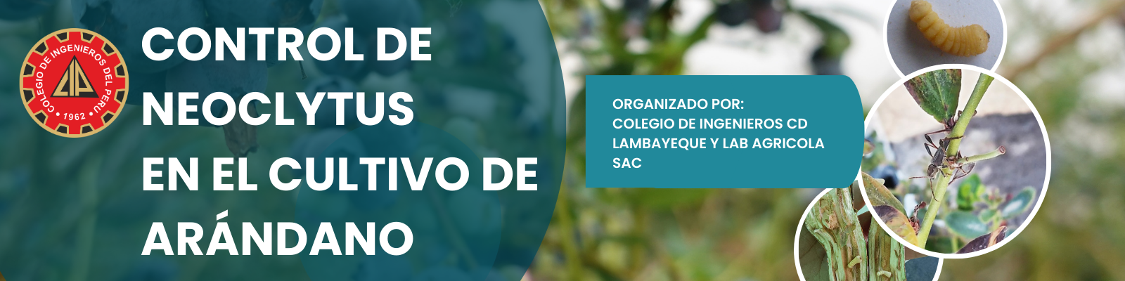 Portada-Evento-de-Facebook-Collage-Familia-1600-x-400-px