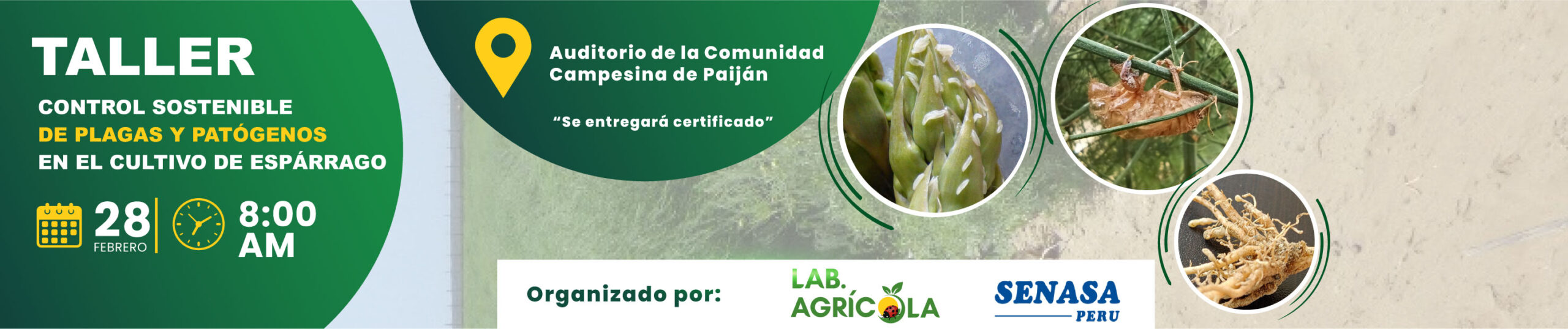 cabecera-formulario-04-scaled