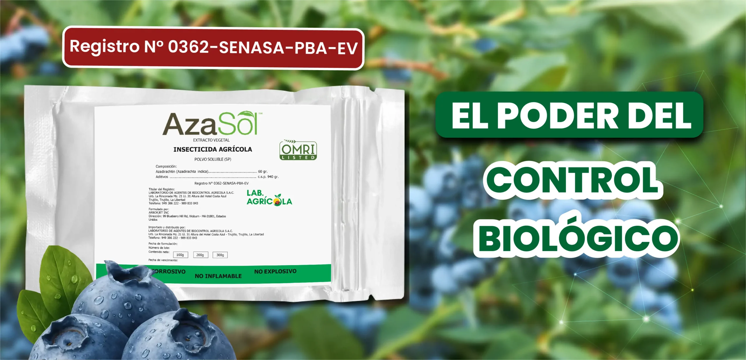 pagina web_Mesa de trabajo 1