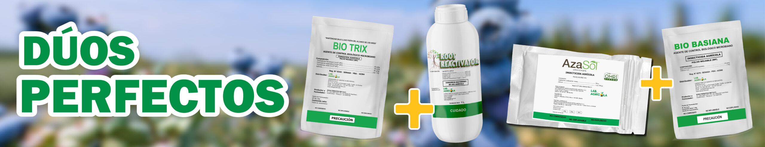 pagina web_Mesa de trabajo 1 copia